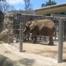 Califorina 2008