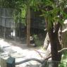 Califorina 2008