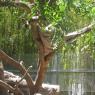 Day 5 SD Zoo