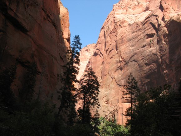 zion_4_taylor_creek_098