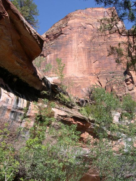 zion_6_emerald_pools_040