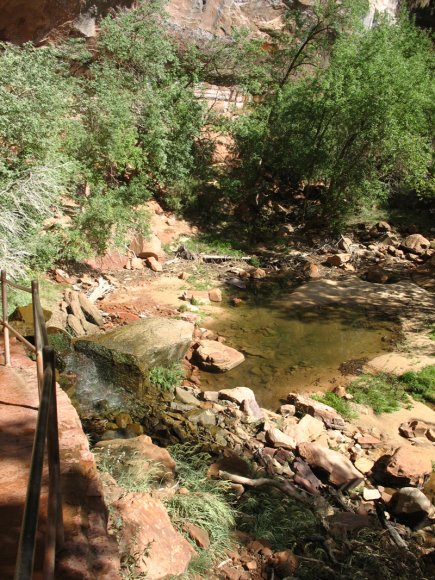 zion_6_emerald_pools_050