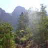 Zion