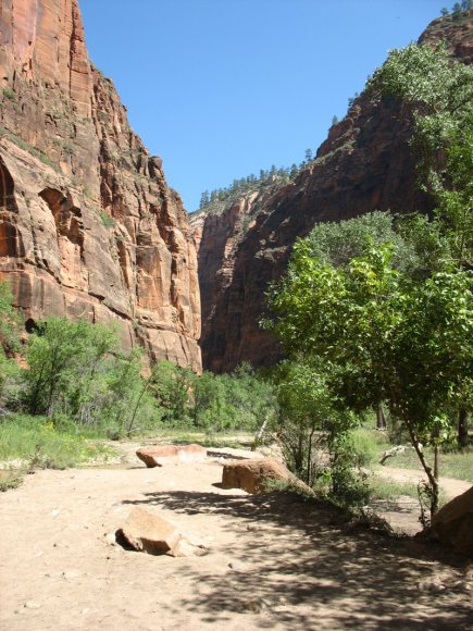 zion_7_riverside_walk_001