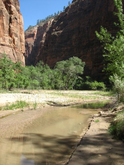 zion_7_riverside_walk_090