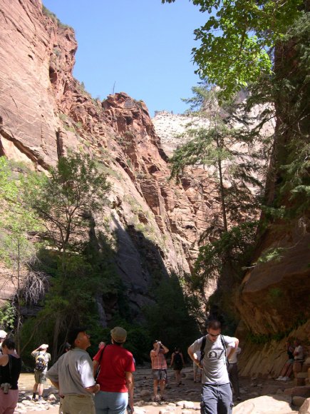 zion_7_riverside_walk_100