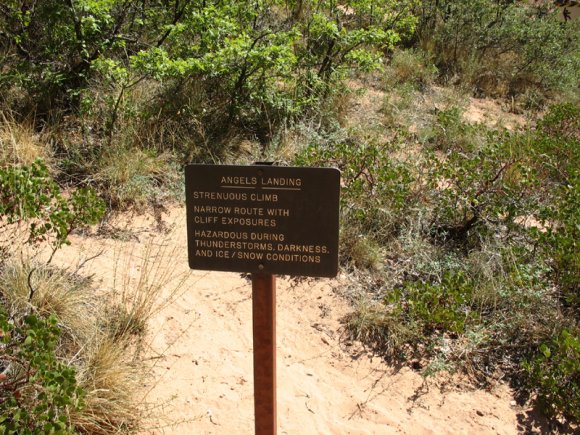 zion_8_Angels_Landing_111