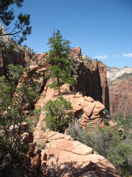 zion_8_Angels_Landing_116