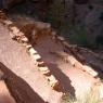 Zion